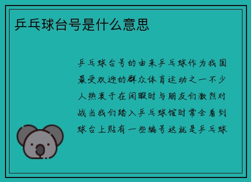 乒乓球台号是什么意思