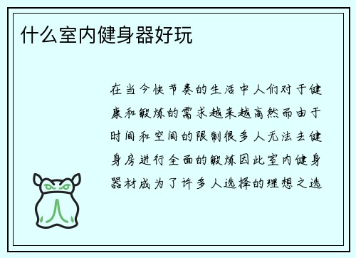 什么室内健身器好玩