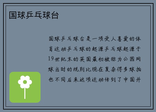 国球乒乓球台