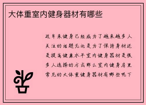 大体重室内健身器材有哪些